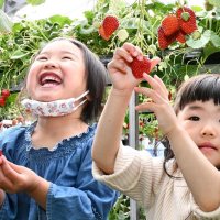 いちごを手に笑顔の子ども＝東庄町
