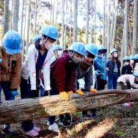 サンブスギ　官民問わず保全活動　担い手減少や病気で荒廃　【回顧２０２２年　取材メモから】