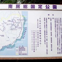 管理、保護への契機に　豊かな自然や文化を示す指標　【千葉地理学会連載　おもしろ半島ちばの地理再発見】