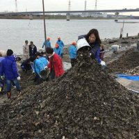 回収作業でできたカキ殻の山＝２０１７年１２月、市川市の江戸川放水路河川敷