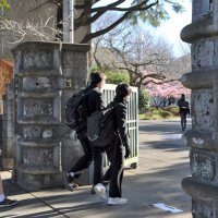 会場に向かう受験生＝２１日午前９時ごろ、千葉市中央区の県立千葉高校