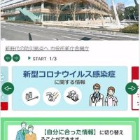 千葉市ＨＰリニューアル　２月６日から、利便性向上へ