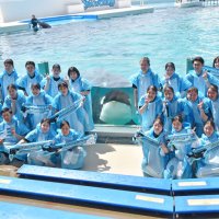 シャチの「ララ」（中央）と水しぶきを受けた新入社員ら＝１日、鴨川市
