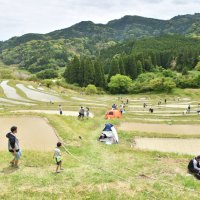 美しい棚田で田植え作業に汗を流す家族連れら＝２９日、鴨川市

