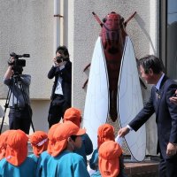 巨大ヒメハルゼミ　電話ボックスから“発生地”へ　ＮＴＴ寄贈し公民館に移設　茂原