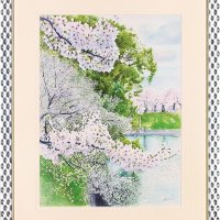 花の水彩画咲き競う　渡辺さん個展４月１９日まで　船橋