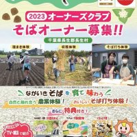 栽培オーナーを募集　種まき、収穫、そば打ち体験　長生村