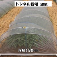 トンネルで作ろう　肥料は控えめに　スイカの作り方１　風間龍夫　【野菜レッスン】（１４１）