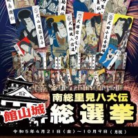 多種多様な登場人物の中から“推し”を３人まで選んで投票する「南総里見八犬伝総選挙」（館山市提供）