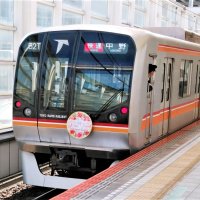 バラの見ごろに特別列車　東葉高速　ローズトレイン運行