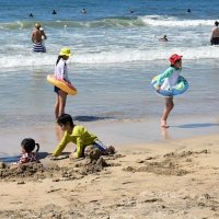 海水浴場５６カ所開設へ　水質問題なし、７月１日から順次