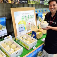 長生（ながいき）メロン出荷最終盤　えりすぐり８万玉　直売所では行列、縁起物にも　一宮町と白子町