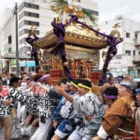 １・５トン、関東一の大神輿　「コロナ禍でたまった気持ちぶつけ」たけだけしく担ぐ　八剱八幡神社例祭　木更津
