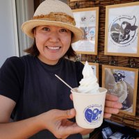 「ジェラソフ」いかが？　御宿産有機牛乳を使用、まるでジェラートなソフトクリーム　試作重ね期間限定販売　「コクがあるけどさっぱり」　