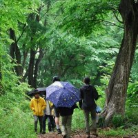 川戸の森開発で事前説明求める　住民、千葉市に陳情書