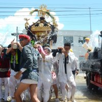 横芝みこし威勢良く　伝統、八坂神社祇園祭で絆