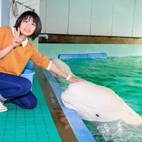 女性限定！ナイト水族館　鴨川シーワールド日帰りプラン　飼育員とおしゃべりディナー、シャチの夜パフォーマンス…　９月２３日から