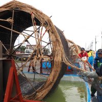 豊作を願い、ノリ種付け作業に取り組む新富津漁協の生産者＝２４日、富津市