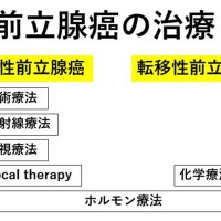 ロボ支援手術２０００件超　ホルモン療法新薬剤も　前立腺がんの治療　千葉県がんセンター泌尿器科医長　米田慧　【９月はがん征圧月間　ちば　がんにうち克つ】（１０）