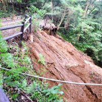 天然記念物の森で土砂崩れ　大雨が史跡にも爪痕　睦沢・妙楽寺　水道管破損で住職困窮　台風１３号
