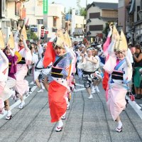 銚子はね太鼓や阿波おどり…　全国の演者一堂に　成田山参道で伝統芸能まつり　