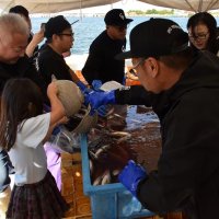 鮮魚すくいコーナーで水槽に入ったアジなどをすくい取る来場者
