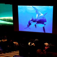 海の動物子育て紹介　鴨川シーワールド、１９日に特別レクチャー　「家族月間」特別割引も