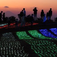マザー牧場のイルミネーション「光の花園」。夕景とのコラボは見どころ＝３日夜、富津市