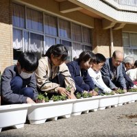花親しみながら育てて　６市町小学校に苗寄贈　農芸財団　ＮＡＡ