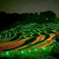 里山彩る光の曲線　鴨川・大山千枚田