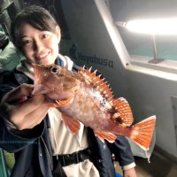 木更津沖でゲットしたカサゴ（写真は「守山丸」提供）
