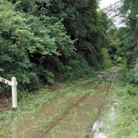 小湊鉄道、月内全線再開へ調整　まず休日から　流入土砂や倒木の撤去進み　台風１３号影響、月崎―上総中野間が運休