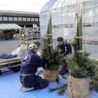 新年の客迎える門松　「植木のまち」造園業者協力　東金　道の駅「みのりの郷」　【師走スケッチ２０２３】