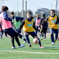 ４強へ雪辱誓う　前々回決勝で惜敗　皇后杯、１４日浦和戦　ジェフ千葉レディース
