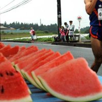 富里スイカマラソン　２５日から申し込み
