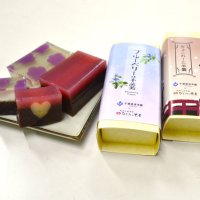 千葉経済学園となごみの米屋がコラボしたブルーベリー羊羹（左）とちょこれーと羊羹

