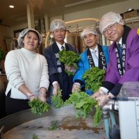 館山産菜の花使いビール　都内で仕込み式　よい仕事おこしネット