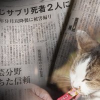 「ちゅーる」に「紅麹」表記、ＳＮＳで不安の声　製造・販売元は関連否定も