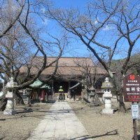 ＜国重文へ答申＞市川・中山法華経寺の古文書　歴史刻んだ８３９通が高評価　創建より寺内で保存