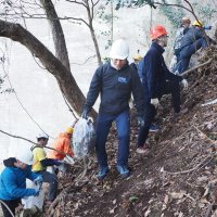 鋸山の景観すっきり　ツタや樹木伐採、ごみ除去