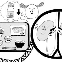 ＜腎臓病予防と食事＞　バランスよく適量を　【現代食事考】（１６５３）