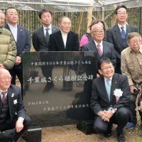 除幕された千葉城さくら植樹記念碑＝２３日、千葉市中央区の亥鼻公園