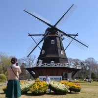 【動画あり】シンボル風車、再び回った！　船橋・アンデルセン公園