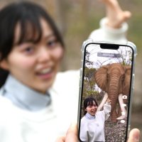 【子ども新聞　週刊ちばにち家】　富里にアフリカ象！？　ＡＲ活用　デジタル動物と撮影を　（２０２４年４月１８日号）