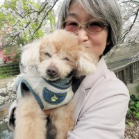 ２０歳の超高齢！トイプードル「パル」　今日も元気に散歩、近所のアイドル　人間なら１００歳　市川