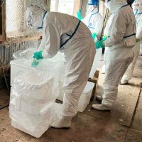 【速報】富里で鳥インフル　千葉県内養鶏農場で今季初　飼育の６万３千羽殺処分など開始　遺伝子検査で陽性