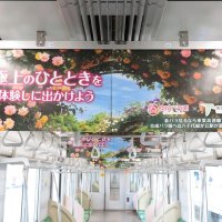 車両内に掲げた京成バラ園のポスター＝昨年５月（東葉高速鉄道提供）
