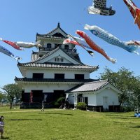 ６０匹が優雅に青空スイスイ　館山・城山公園　こどもの日こいのぼり