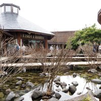 変容した地域、再考　深澤孝史「鉄と海苔」　岩崎貴宏「カタボリズムの海」　君津・富津　【内房総アートフェス作品紹介】