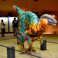 子ども美術館のエントランスホールに展示されている体長４メートルを超える肉食恐竜の実寸大着ぐるみ
